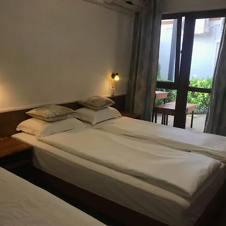 Guest house Milev 2*