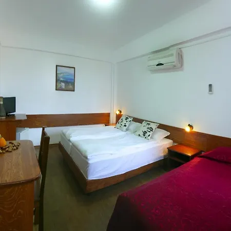 Guest house Milev 2*